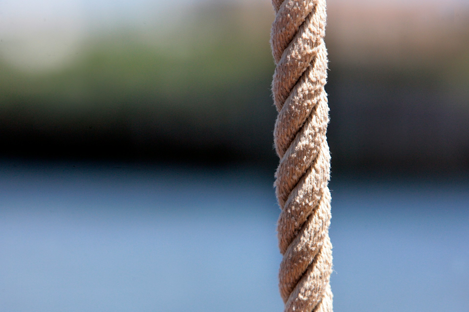 The Everlasting Covenant and the True Heir of Abraham (Genesis series #16)